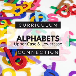 Curriculum Connection • LETTERS